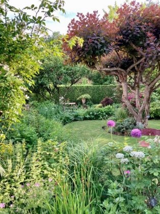 Visite du Jardin de la Ninette, jardin de village de style anglais