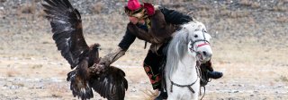 Mongolie, les aigliers de l’Altäi