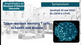 Tissue-resident memory lymphocytes in health and disease