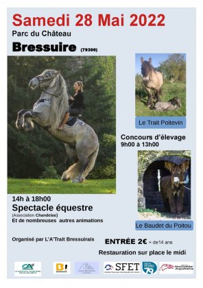 Concours d'élevage des Races Mulassières du Poitou