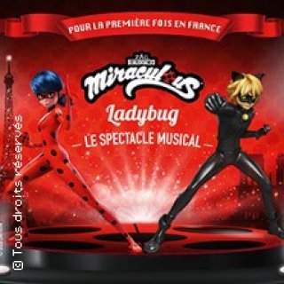 Miraculous Ladybug - Le Spectacle Musical