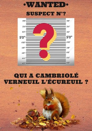 Qui a cambriolé Verneuil l'Écureuil ?