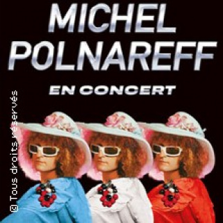 Michel Polnareff  (Tournée)