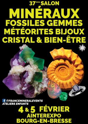 37ème Salon MineralEvent Bourg-en-Bresse - Minéraux, Fossiles, Gemmes,
