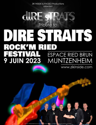 Dire Strats Tribute Dire Straits