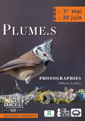Exposition photographique : "Plume.s" par Olivier Lasbley