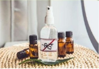 Atelier cosmétique « huile anti-moustiques » à la Maison de la figue