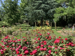 Visite du jardin à la française et du parc arboré du Mas de Bruguerolle