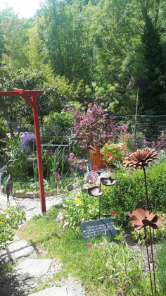 Visite du jardin de Cathy - La Grenouillère