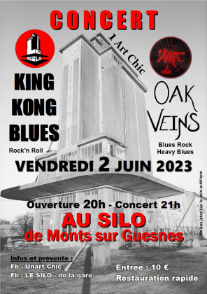 Concert Rock n' blues : King Kong Blues et Oak Veins