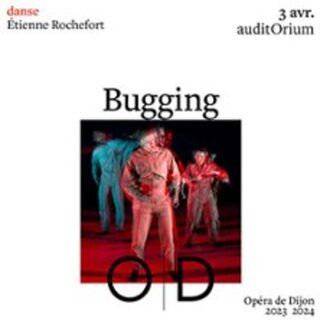 Bugging |  Etienne Rochefort
