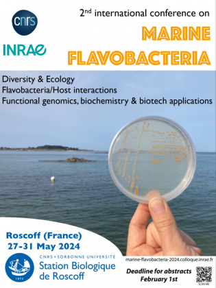 Second International Conference on Marine Flavobacteria - May 27-31 2024