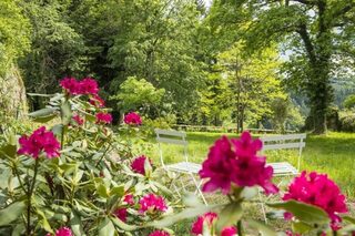 Visite du parc et des jardins du château de Figon - Ensemble Arboré Remarquable
