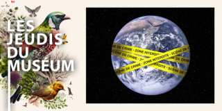 Les Jeudis du Muséum –  Crime environnemental : ça se passe près de chez vous