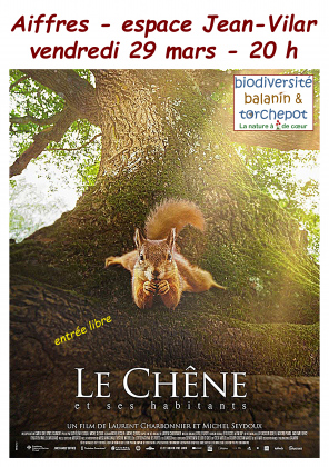 Pojection film Le Chêne et ses habitants