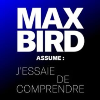 Max Bird-  J'Essaie de Comprendre - Petit Palais des Glaces, Paris