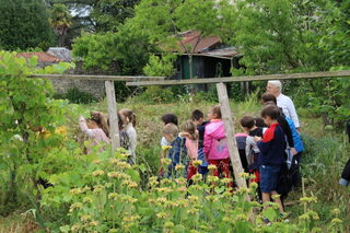 Visite découverte des jardins familiaux de la Société d'horticulture, d'arboricu