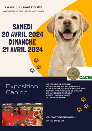 EXPOSITION CANINE INTERNATIONALE