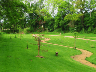 Arboretum du Lys : Conférence - PEUT-ON LAISSER VIEILLIR LES FORETS EN CREUSE -