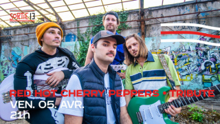 Concert Tribute "Red Hot Cherry Peppers"