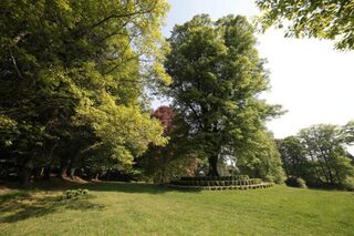 Visite guidée de l'Arboretum du château de Neuvic d'Ussel