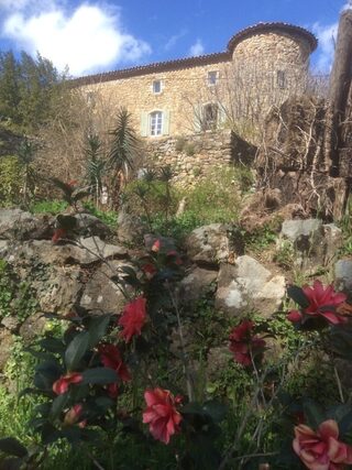 Visite découverte des jardins du Château du Pin
