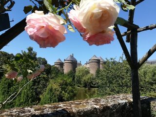 Visite guidée de la roseraie et du jardin médiéval