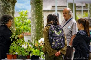 « Troc de plantes dans les jardins du Musée Pyrénéen » avec Annick Baléri