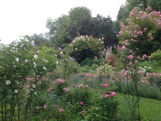 Visite du parc à l'anglaise et du jardin de roses anciennes de l'abbaye de Bèze