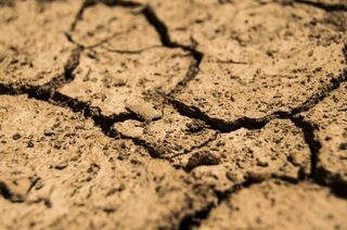 L’eau en milieu calcaire et les conséquences de la sécheresse