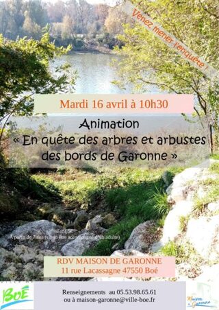 En quête des arbres et arbustes des bords de Garonne