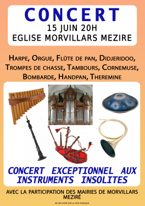 Concert d'instruments insolites