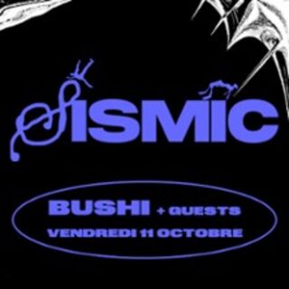 Bushi Sismic Festival  #10