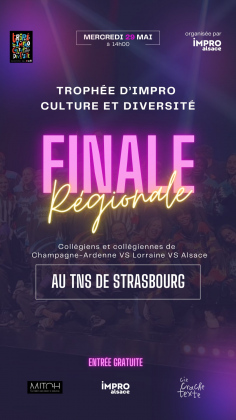 Trophée d'Impro Culture et Diversité : finale régionale