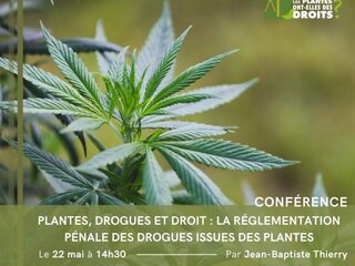 CONFÉRENCE - PLANTES, DROGUES ET DROIT : LA RÉGLEMENTATION PÉNALE DES DROGUES IS