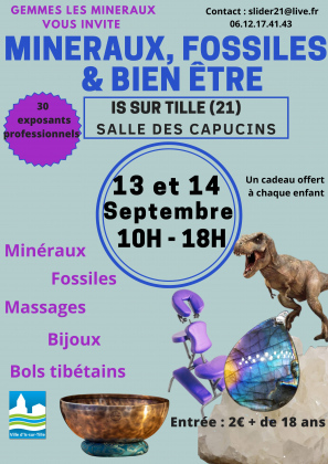Salon Minéraux, Fossiles, et bien être