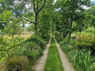 Visite libre découverte du jardin botanique