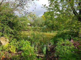 Visite guidée des jardins