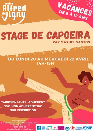 Stage de Capoeira