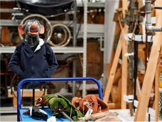 Raoul Lala : Opération CCR 2026