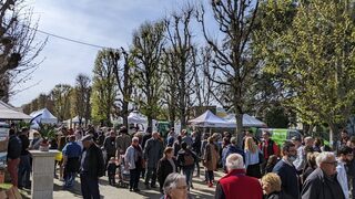 Foire Expo 2026