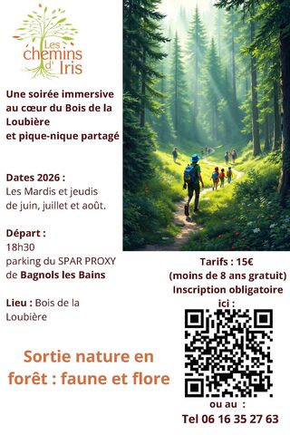 SORTIE NATURE EN FORÊT : FAUNE, FLORE AU CRÉPUSCULE