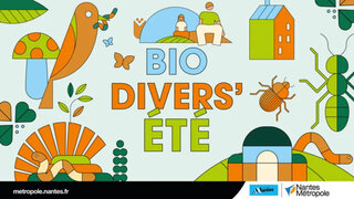 Biodivers’été : À l’origine des paysages, atelier archéo-botanique