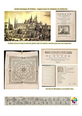 Visuel