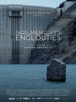 Diffusion du film