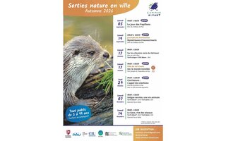 Sortie nature - Le gave, rive des oiseaux