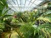 PROMENADE AU JARDIN : Visite de la serre du Jardin des Plantes