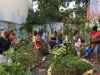 Visite découverte du jardin créole de Pli Bel Lari à Pointe-à-Pitre