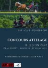 Concours d'Attelage, à Pouilley-les-Vignes (25)