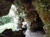 Visite guidée du parc historique et de la grotte rocaille du Pavillon d'Artois